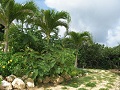 Okinawa Kohamajima